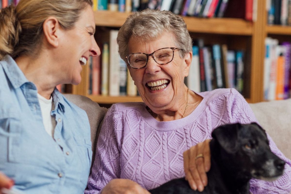 edited franchise pics warm (7)